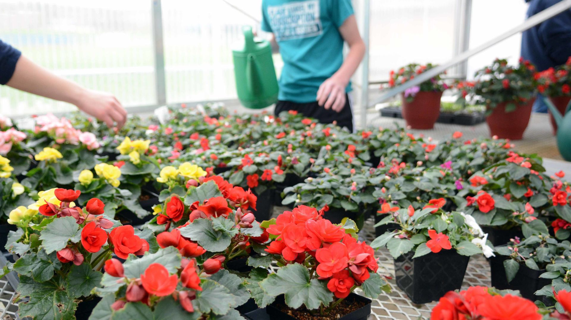 Baraboo High School students prepare for annual plant sale